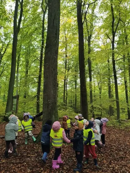 Przedszkolaki z Borzytuchomia przytuliły drzewa w Grodzisku