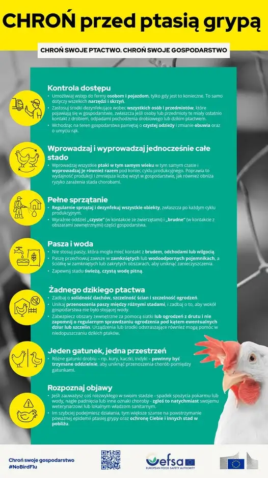 Grypa ptaków: Główny Lekarz Weterynarii apeluje o bioasekurację w gospodarstwach